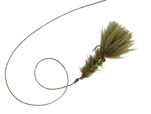 This is a macro shot of hand tied  Woolly Bugger  fly used for Fly-Fishing 