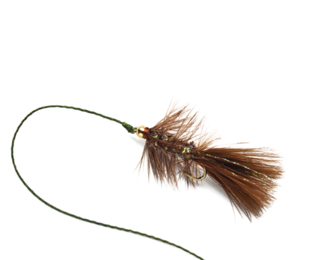 This is a macro shot of hand tied  Woolly Bugger  fly used for Fly-Fishing 