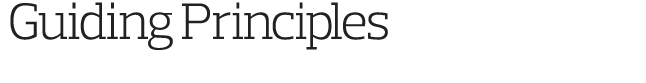  Guiding Principles