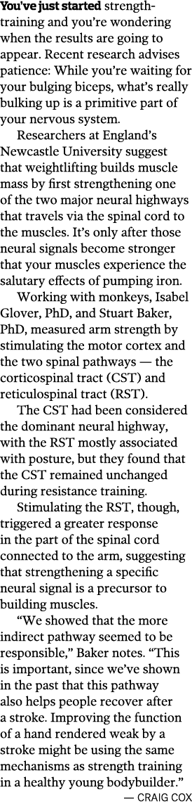 You ve just started strength-training and you re wondering when the results are going to appear  Recent research advi   