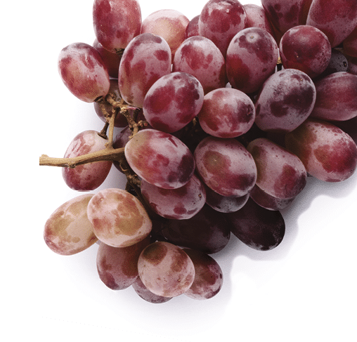 Glass of red wine with bunch of grapes, overhead on white background, minimalist arrangement