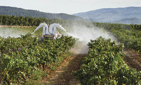 Perspective view of an agricultural atomizer spraying a vineyard 