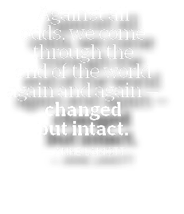Against all odds, we come through the end of the world again and again — changed but intact  — Anne Lamott