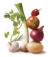 Fresh uncooked vegetable still life. Vegetable, herbs and spices stacked on isolated white background.
