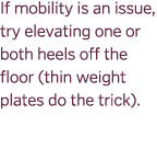 If mobility is an issue, try elevating one or both heels off the floor (thin weight plates do the trick).
