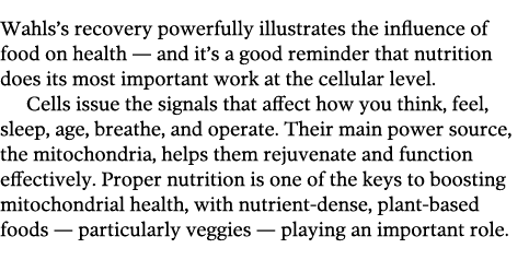 Wahls’s recovery powerfully illustrates the influence of food on health — and it’s a good reminder that nutrition doe...