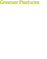Greener Pastures Organic Valley’s raw cheddar changes color with the seasons, depending on where the cows graze. Its ...