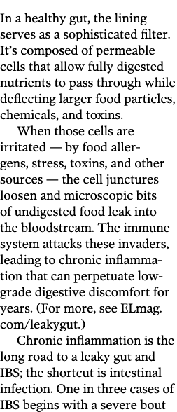 In a healthy gut, the lining serves as a sophisticated filter. It’s composed of permeable cells that allow fully dige...