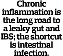 Chronic inflammation is the long road to a leaky gut and IBS; the shortcut is intestinal infection.