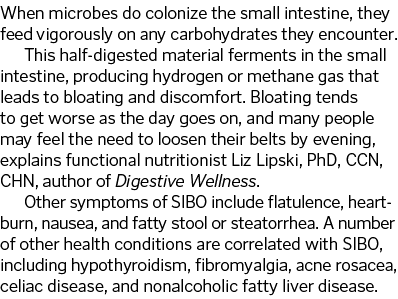 When microbes do colonize the small intestine, they feed vigorously on any carbohydrates they encounter. This half-di...