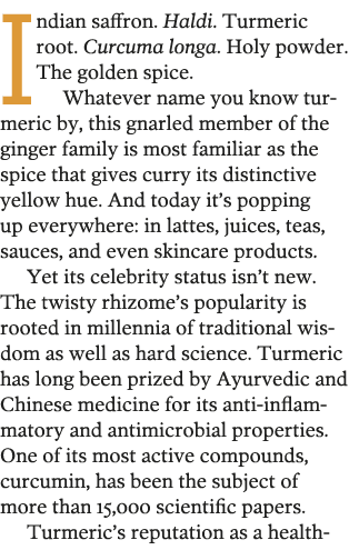 Indian saffron  Haldi  Turmeric root  Curcuma longa  Holy powder  The golden spice  Whatever name you know turmeric b   