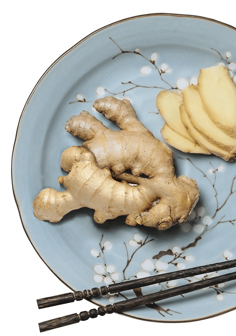 Fresh ginger root on a plate on white  stone background