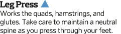 Leg Press  Works the quads  hamstrings  and glutes  Take care to maintain a neutral spine as you press through your f   