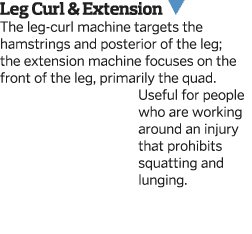 Leg Curl   Extension  The leg-curl machine targets the hamstrings and posterior of the leg  the extension machine foc   