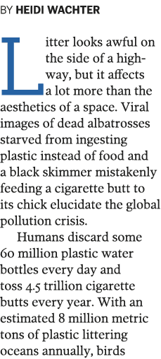 BY HEIDI WACHTER Litter looks awful on the side of a highway  but it affects a lot more than the aesthetics of a spac   