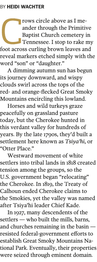 BY HEIDI WACHTER Crows circle above as I meander through the Primitive Baptist Church cemetery in Tennessee  I stop t   