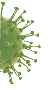 New coronavirus outbreak in China