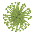 New coronavirus outbreak in China