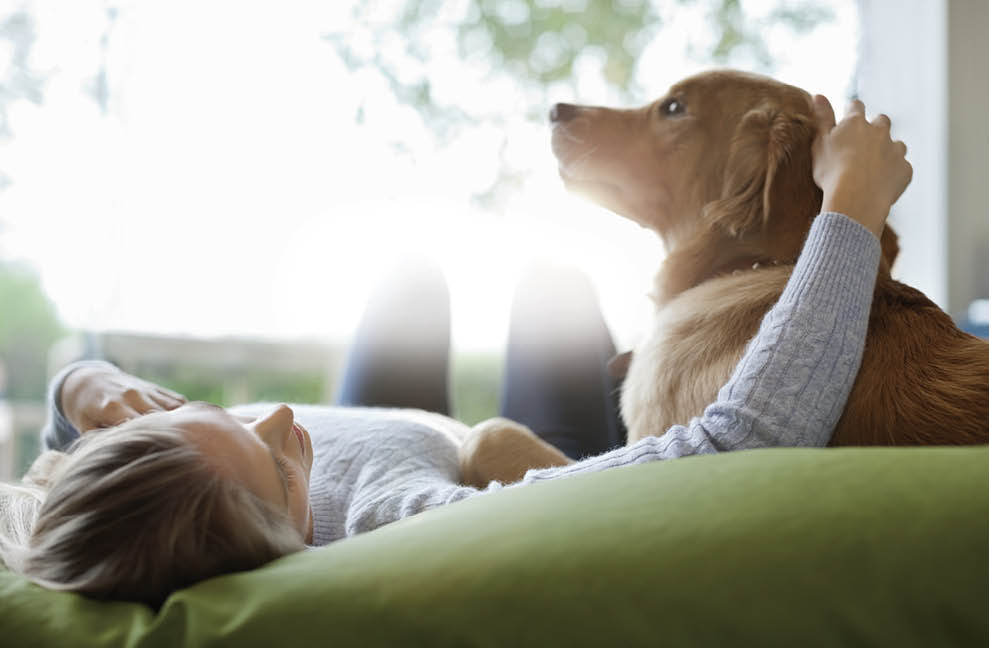 Woman petting dog on bed