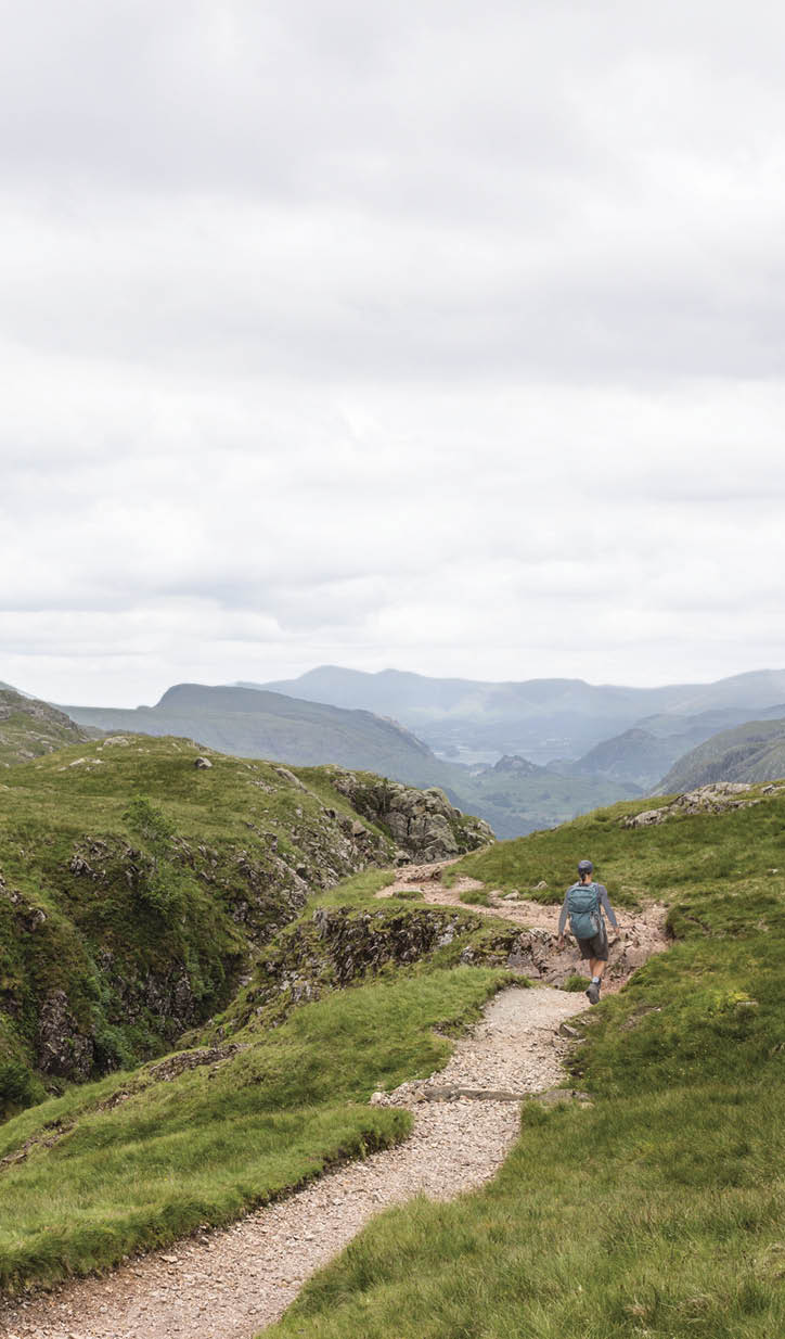 Near River Derwent   Coast to Coast Walk, Cumbria, England 