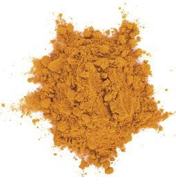 turmeric powder on white background  top view