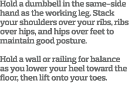 Hold a dumbbell in the same-side hand as the working leg  Stack your shoulders over your ribs  ribs over hips  and hi   