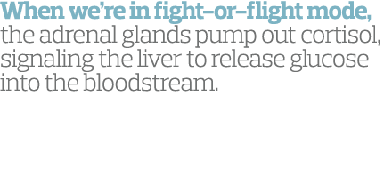 When we re in fight-or-flight mode  the adrenal glands pump out cortisol  signaling the liver to release glucose into   