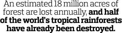 An estimated 18 million acres of forest are lost annually  and half of the world s tropical rainforests have already    