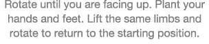 Rotate until you are facing up  Plant your hands and feet  Lift the same limbs and rotate to return to the starting p   