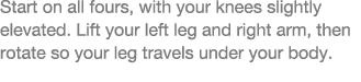 Start on all fours, with your knees slightly elevated  Lift your left leg and right arm, then rotate so your leg trav   