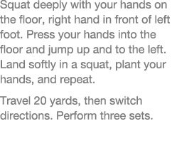 Squat deeply with your hands on the floor, right hand in front of left foot  Press your hands into the floor and jump   