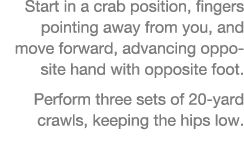 Start in a crab position, fingers pointing away from you, and move forward, advancing opposite hand with opposite foo   