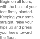 Begin on all fours, with the balls of your feet firmly planted  Keeping your arms straight, raise your hips up and pr   
