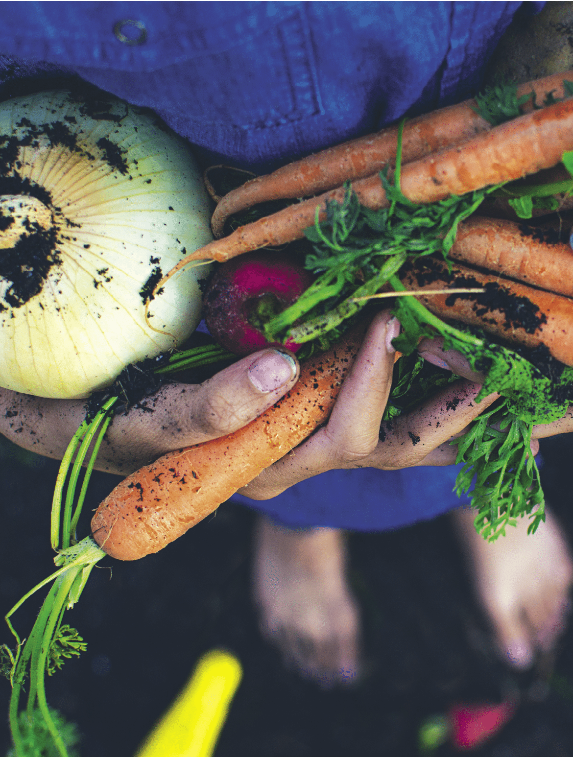 above view of fresh vegetables from the garden 