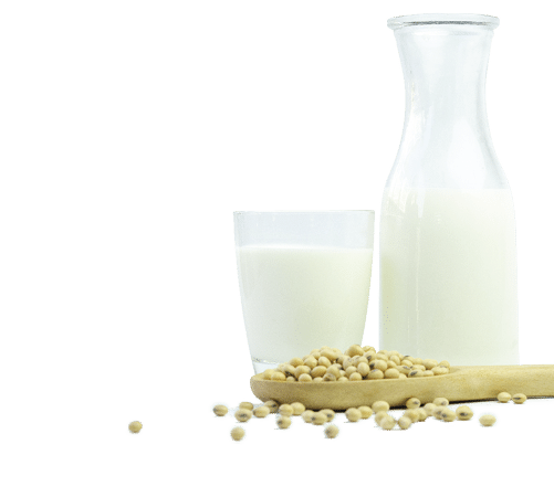 Milk with soy beans on white background