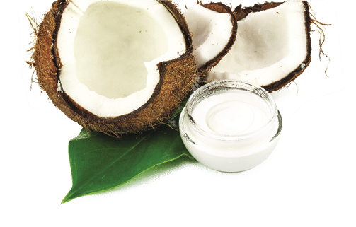 Coconut cocos with cream and green leaf isolated on white background