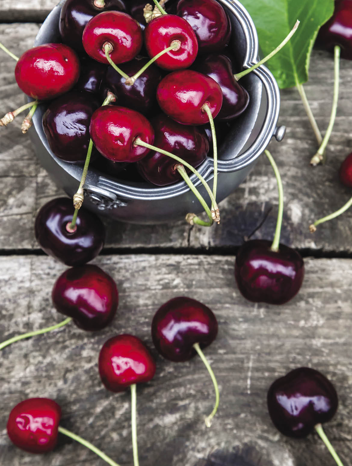 frische Kirschen, Holztisch, Studio