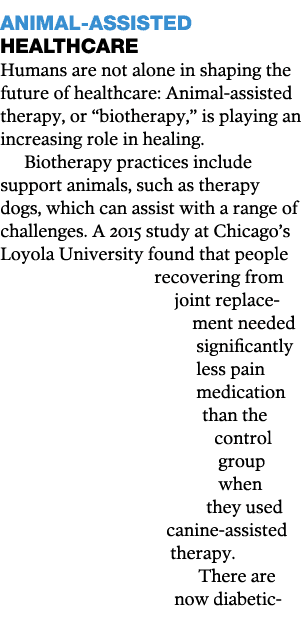 Animal-Assisted Healthcare Humans are not alone in shaping the future of healthcare: Animal-assisted therapy, or  bio   