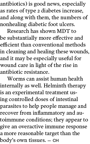 antibiotics) is good news, especially as rates of type 2 diabetes increase, and along with them, the numbers of nonhe   