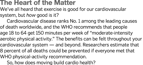 The Heart of the Matter We ve all heard that exercise is good for our cardiovascular system, but how good is it  Card   