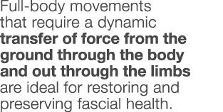 Full-body movements that require a dynamic transfer of force from the ground through the body and out through the lim   