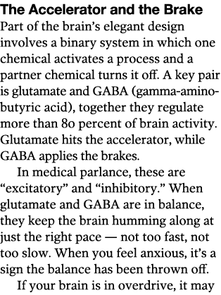 The Accelerator and the Brake Part of the brain s elegant design involves a binary system in which one chemical activ   
