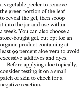 a vegetable peeler to remove the green portion of the leaf to reveal the gel, then scoop it into the jar and use with   