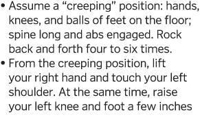    Assume a  creeping  position: hands, knees, and balls of feet on the floor; spine long and abs engaged  Rock back    