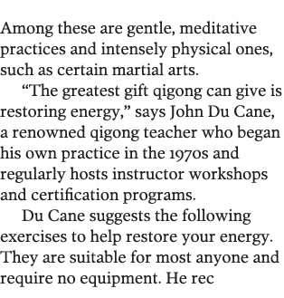 Among these are gentle, meditative practices and intensely physical ones, such as certain martial arts   The greatest   