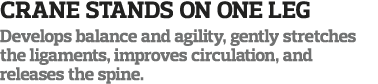 Crane Stands on One Leg Develops balance and agility, gently stretches the ligaments, improves circulation, and relea   