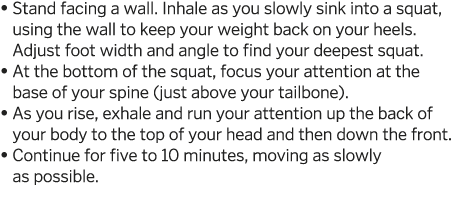    Stand facing a wall  Inhale as you slowly sink into a squat, using the wall to keep your weight back on your heels   