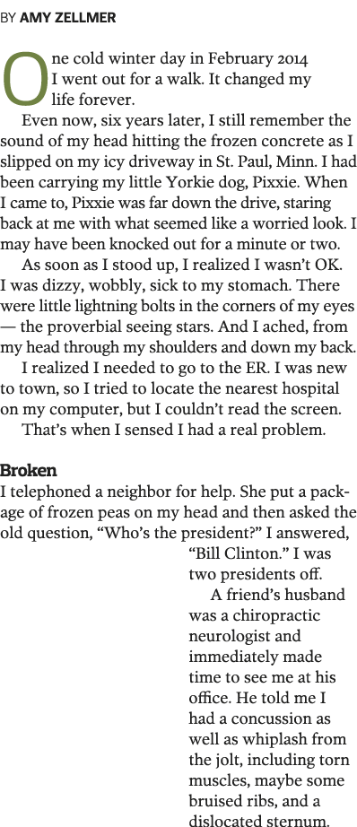 BY AMY ZELLMER One cold winter day in February 2014 I went out for a walk  It changed my life forever  Even now, six    