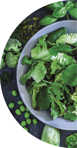 Vegan food: top view of a fresh organic green salad shot on bluish tint abstract background  The salad is in a gray plate and is surrounded by fresh ingredients like cucumber, lettuce  green peas, parsley, basil, broccoli, pumpkin seeds, spinach, arugula, pistachios and asparagus  Predominant colors are green and blue  Low key DSRL studio photo taken with Canon EOS 5D Mk II and Canon EF 100mm f 2 8L Macro IS USM 