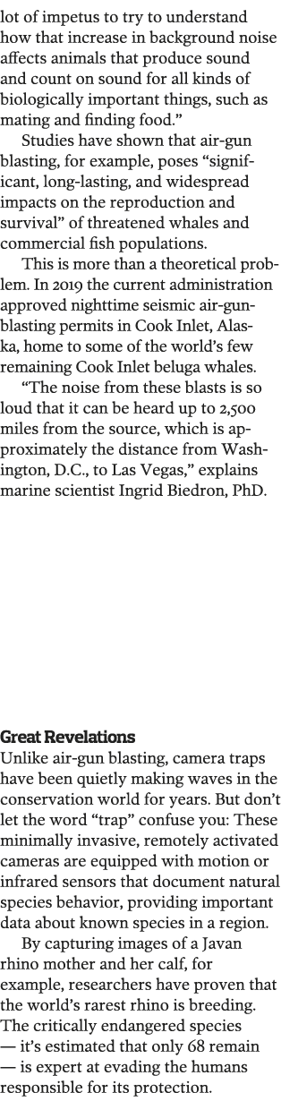 lot of impetus to try to understand how that increase in background noise affects animals that produce sound and coun   